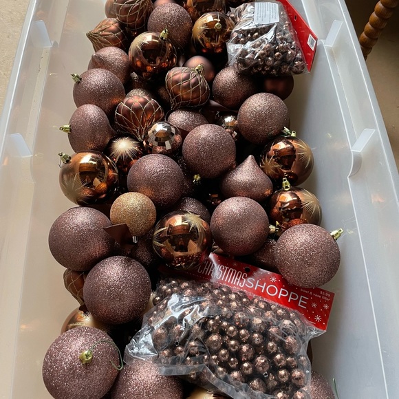 ALL bulbs and packages as shown in tote photo - Picture 2 of 3